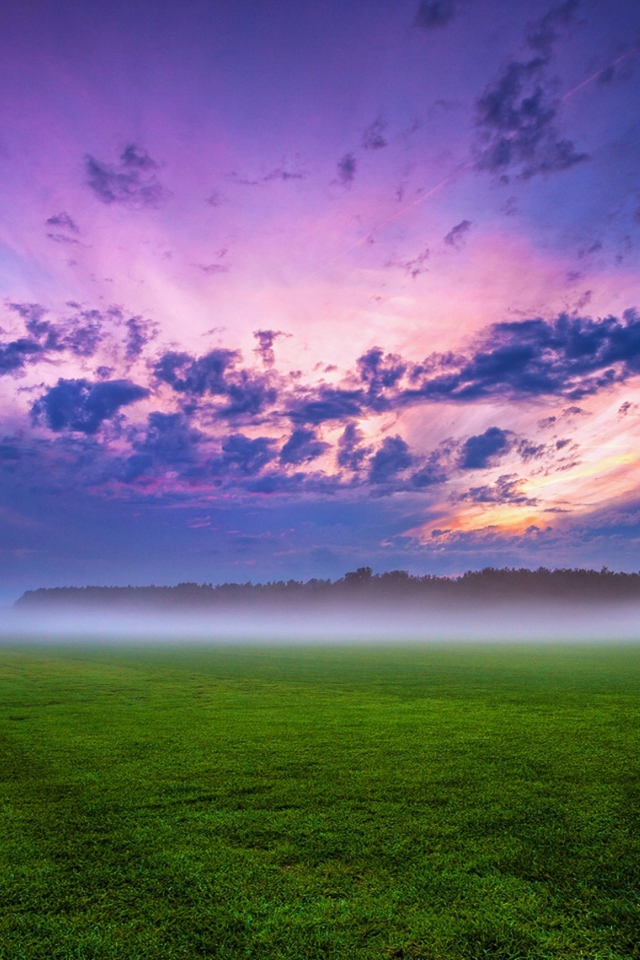Утренний туман над полем под красивым небом