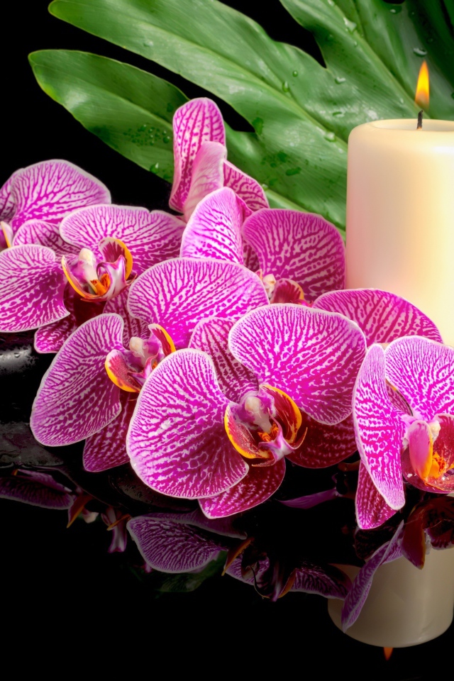 Розовые орхидеи с черными камнями и зажженными свечами