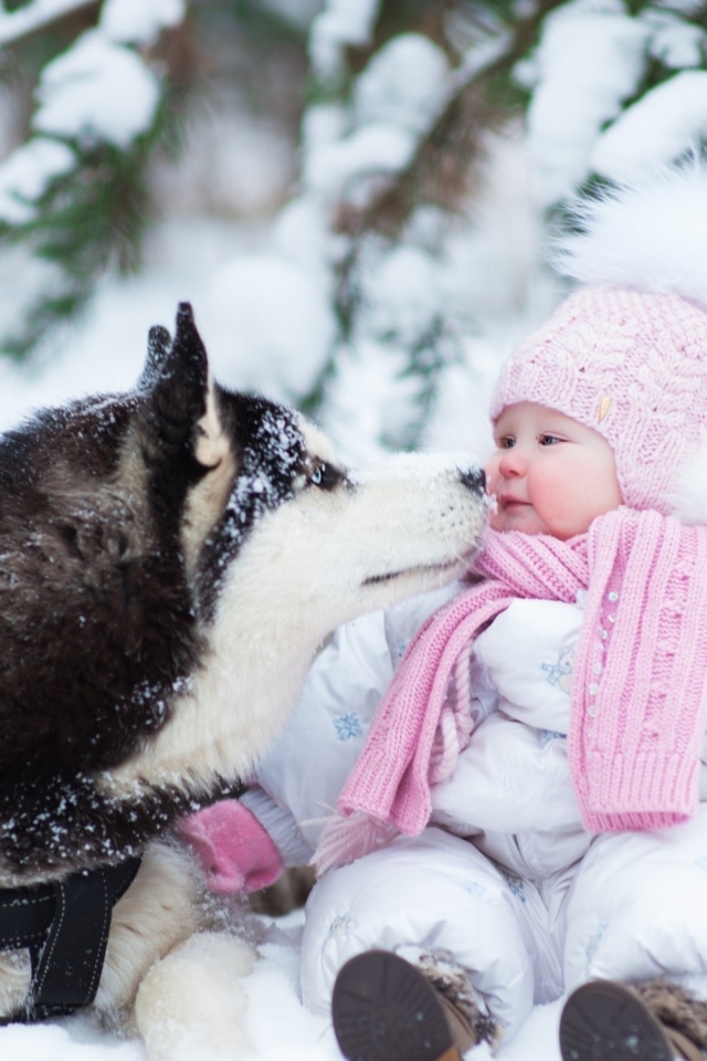 Грудной ребенок с собакой хаски на снегу