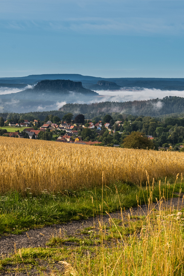 Туман над городом у поля с пшеницей 