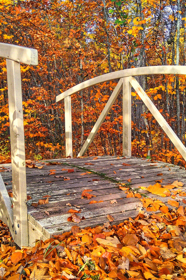 Старый деревянный мост  в осеннем парке