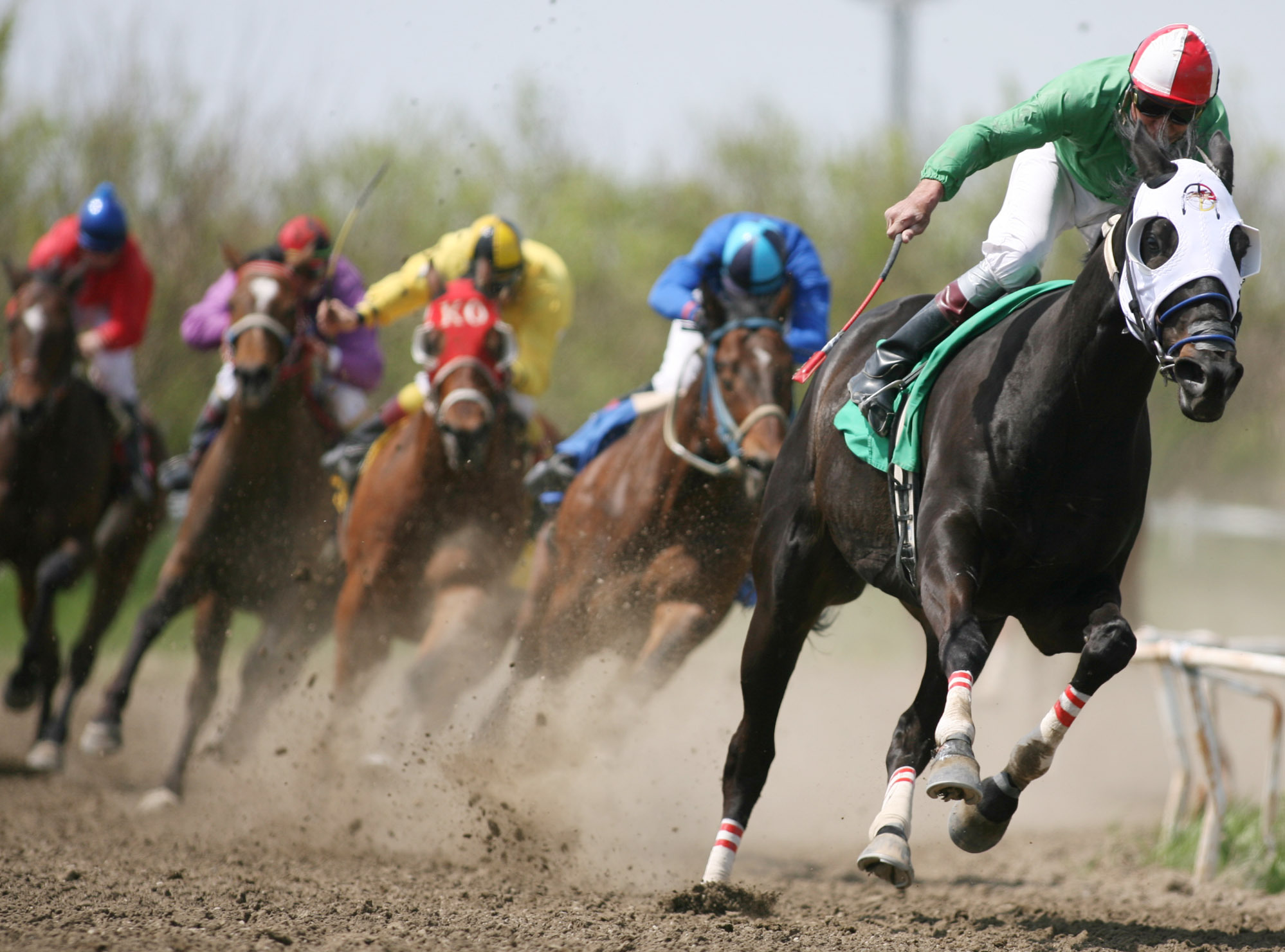 Horse race wallpapers and images - wallpapers, pictures, photos