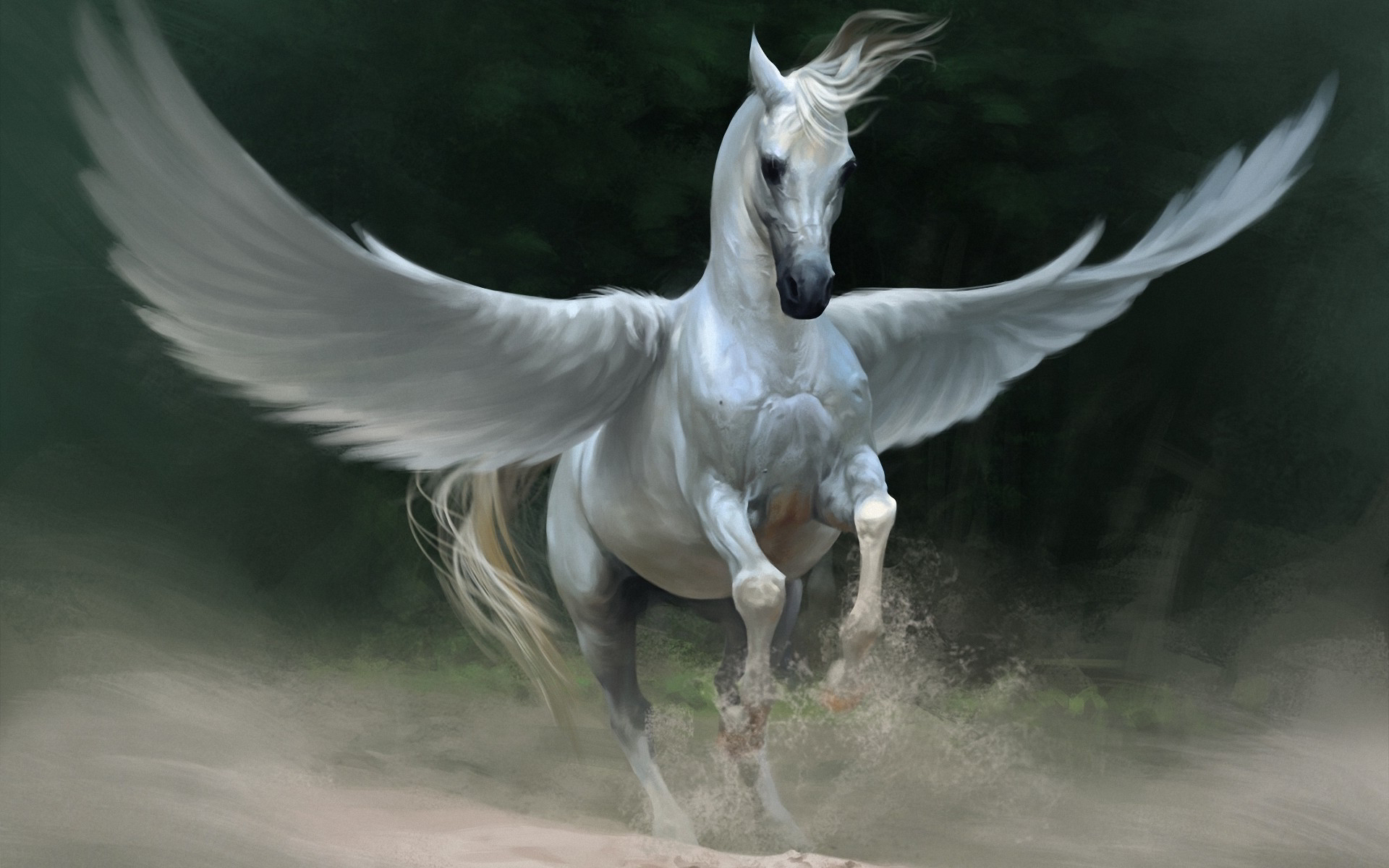 Drawn_wallpapers_Flying_horses_053768_.j