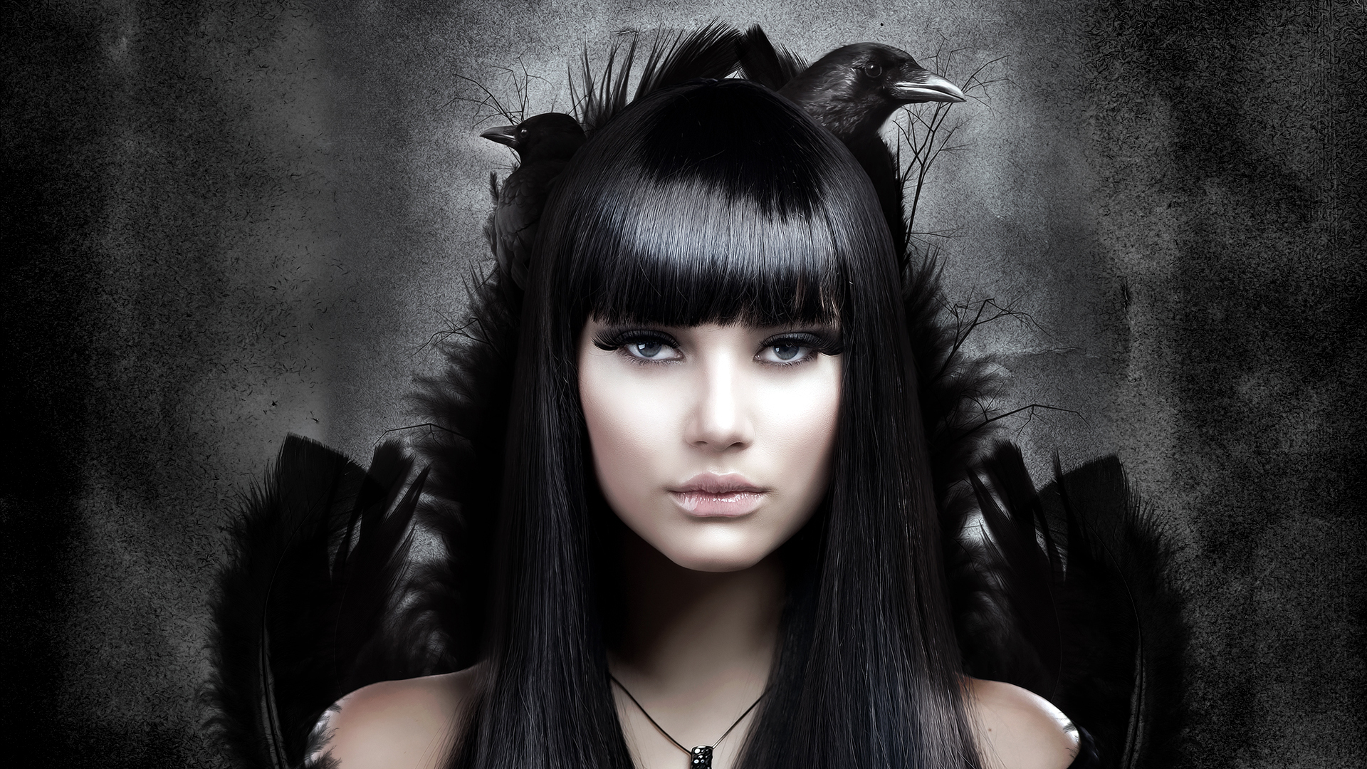 Pendant Long Hair Feather Crow Glamorous Wallpapers And Images Wallpapers Pictures Photos