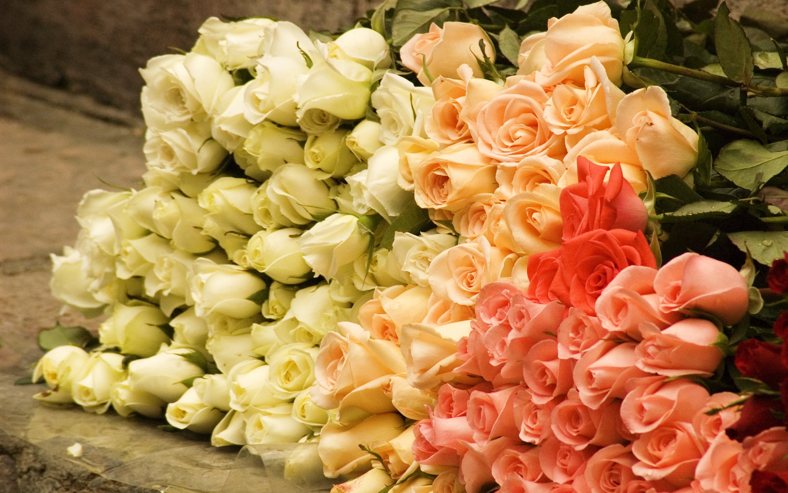http://www.zastavki.com/pictures/originals/2013/Nature___Flowers_Big_bouquet_of_roses_037348_.jpg