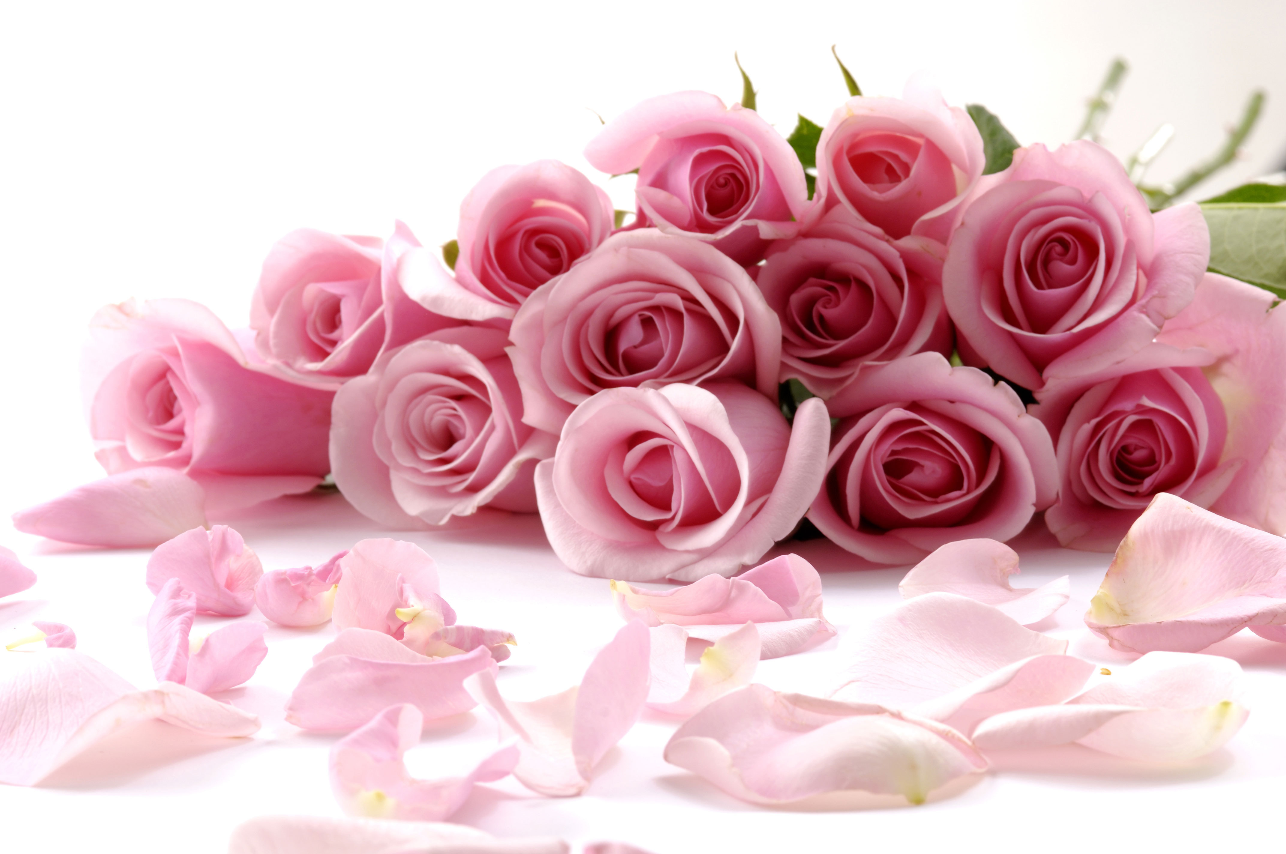 Букет Роз С Днем Женщины Поздравления