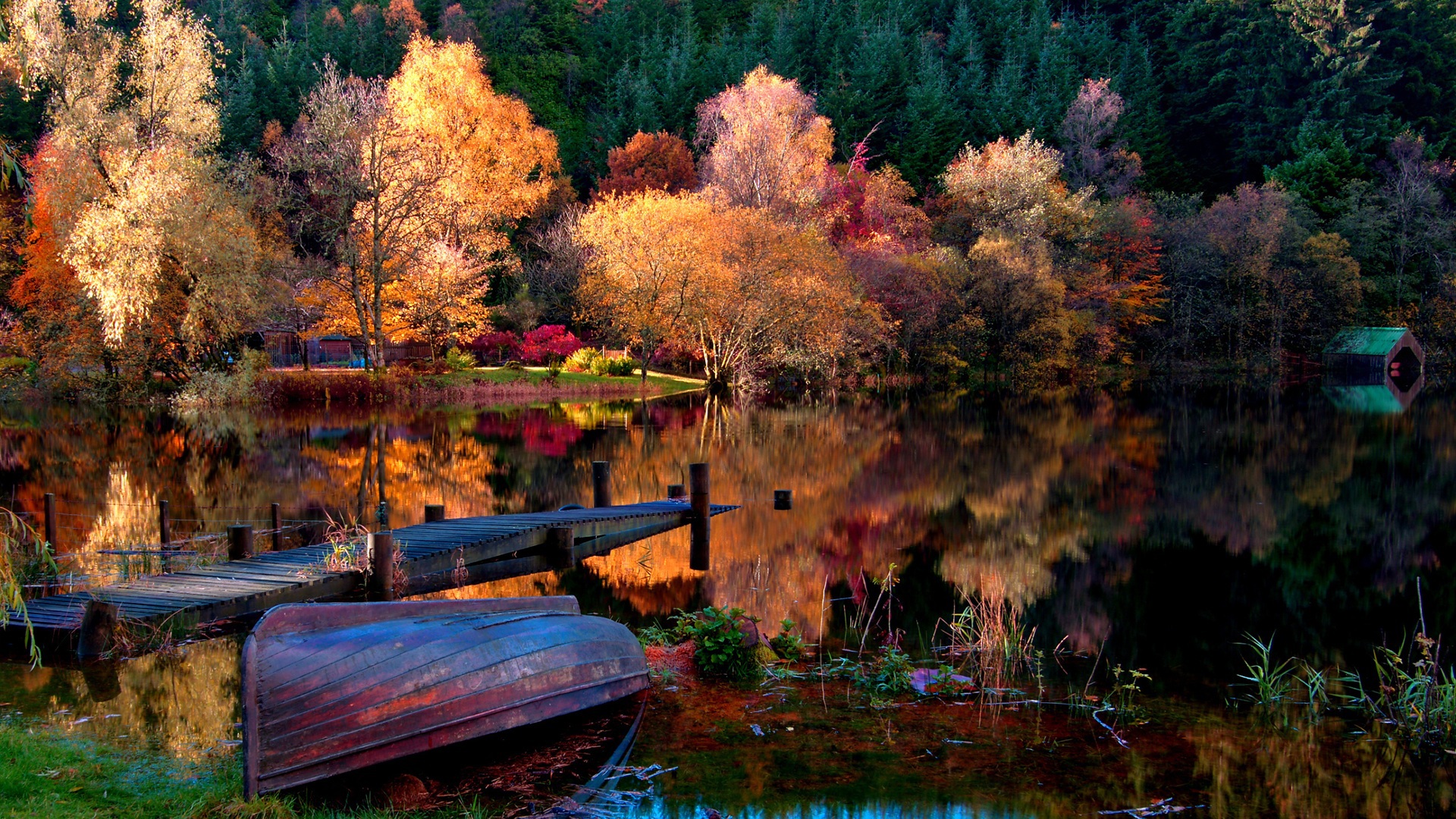Beautiful autumn morning wallpapers and images  wallpapers, pictures 