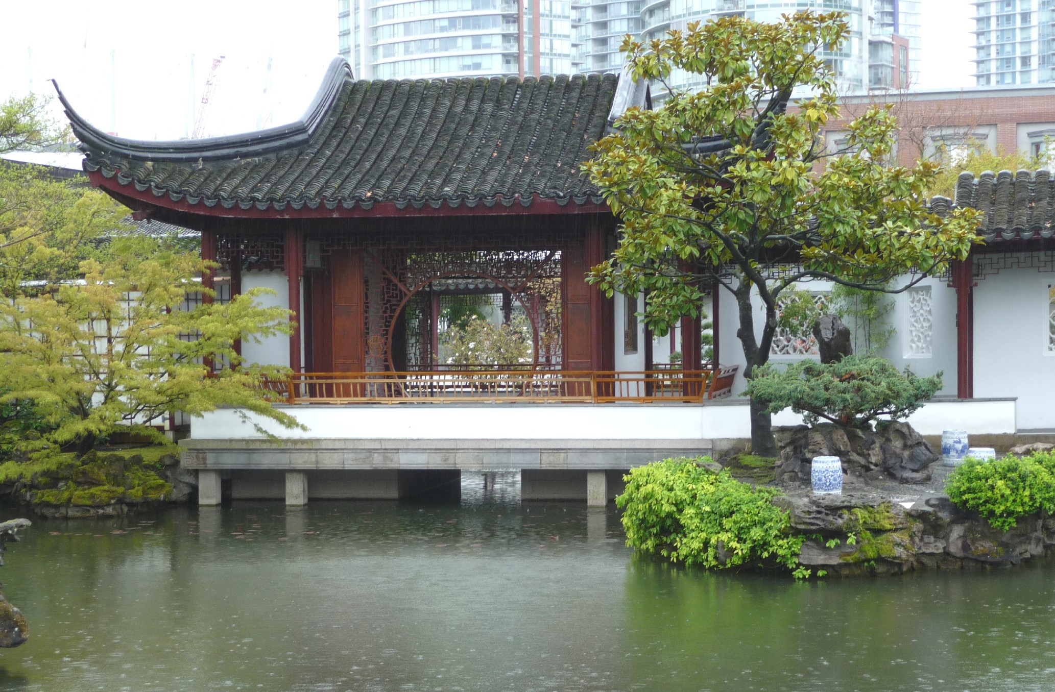 Find a cat on a background of the Japanese city wallpapers and images