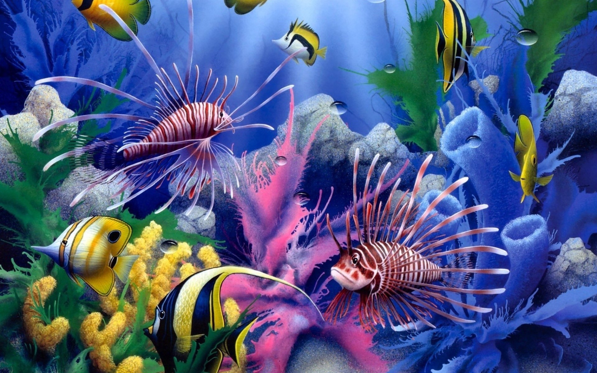 The beauty of underwater life wallpapers and images wallpapers
