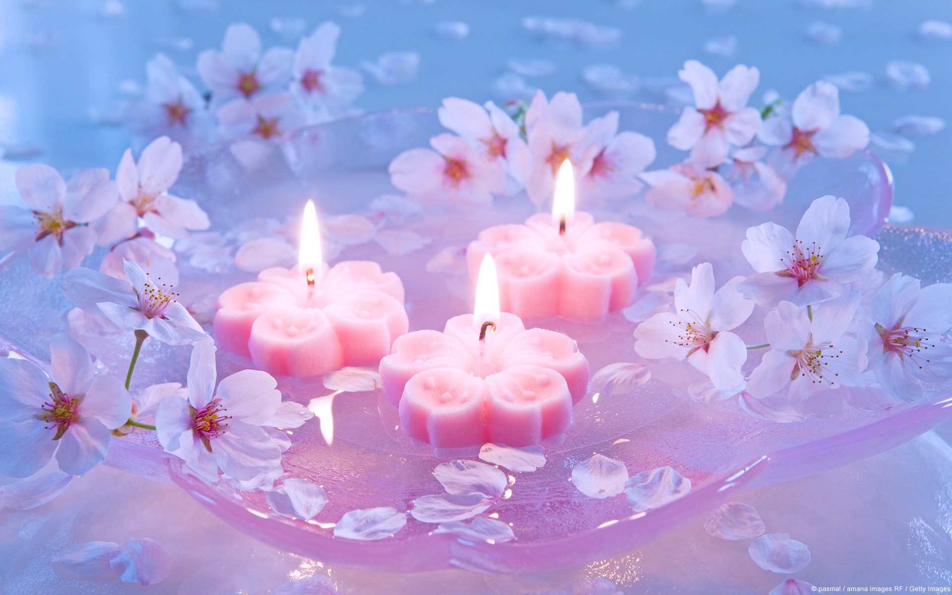 Burning candles among the flowers wallpapers and images ...