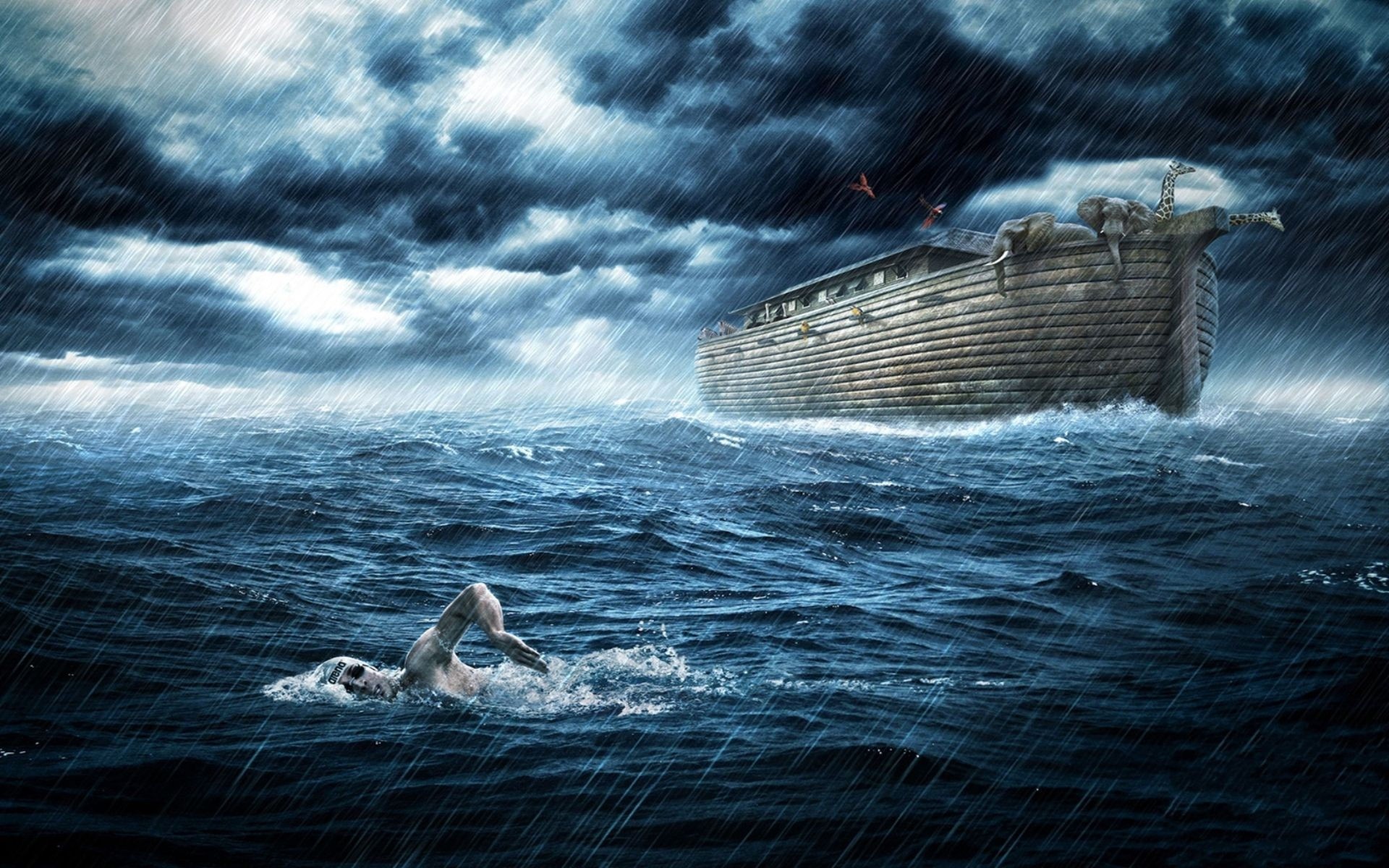 Man swims in the ocean at Noah's ark wallpapers and images wallpapers