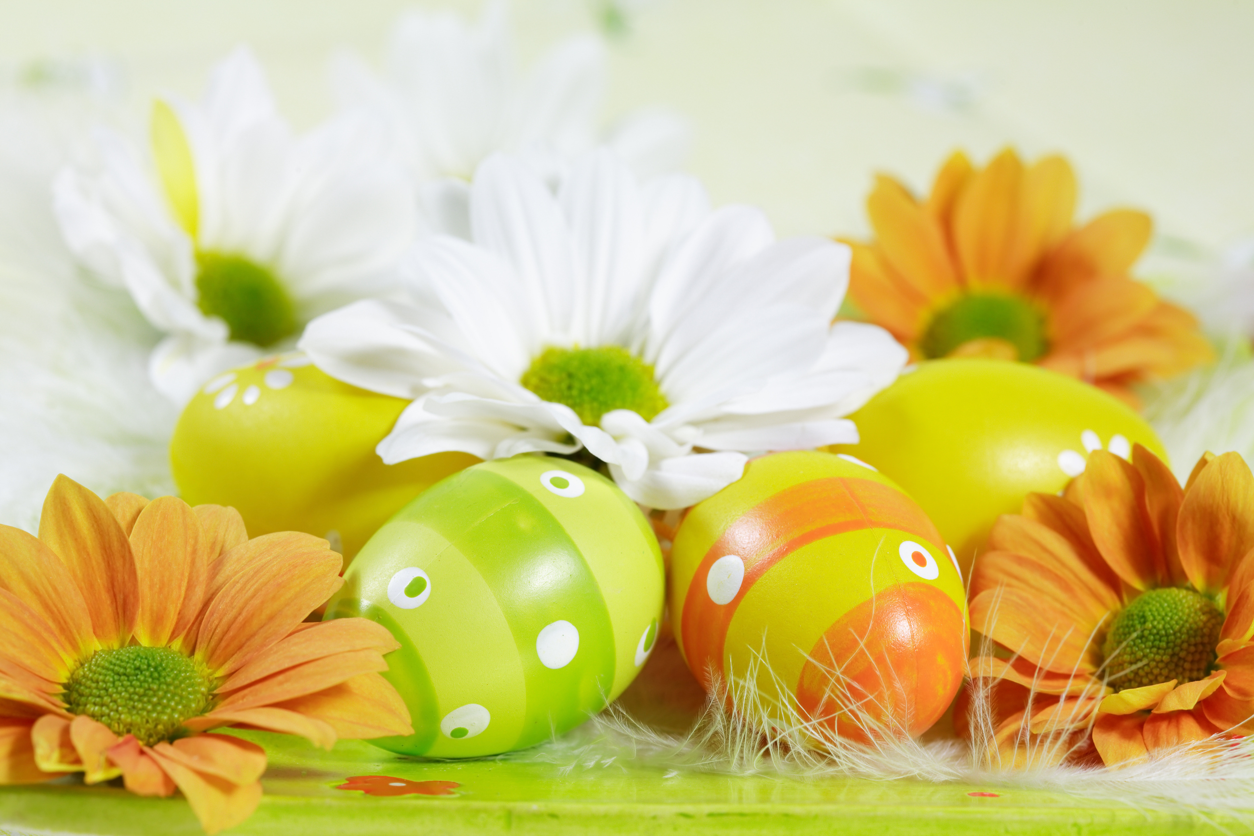 Eggs among flowers on Easter wallpapers and images