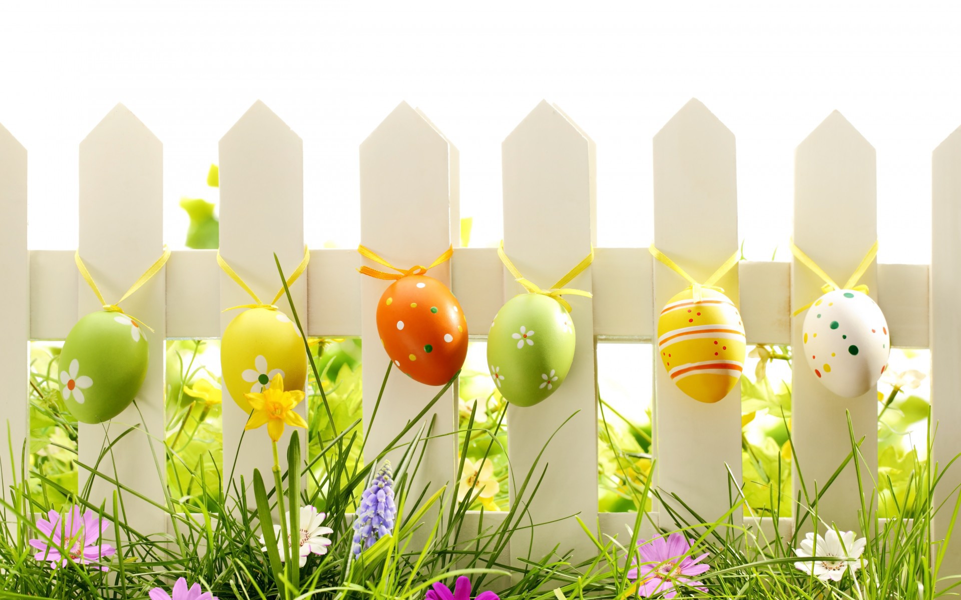 Holidays___Easter_Eggs_on_the_fence_on_Easter_072911_.jpg
