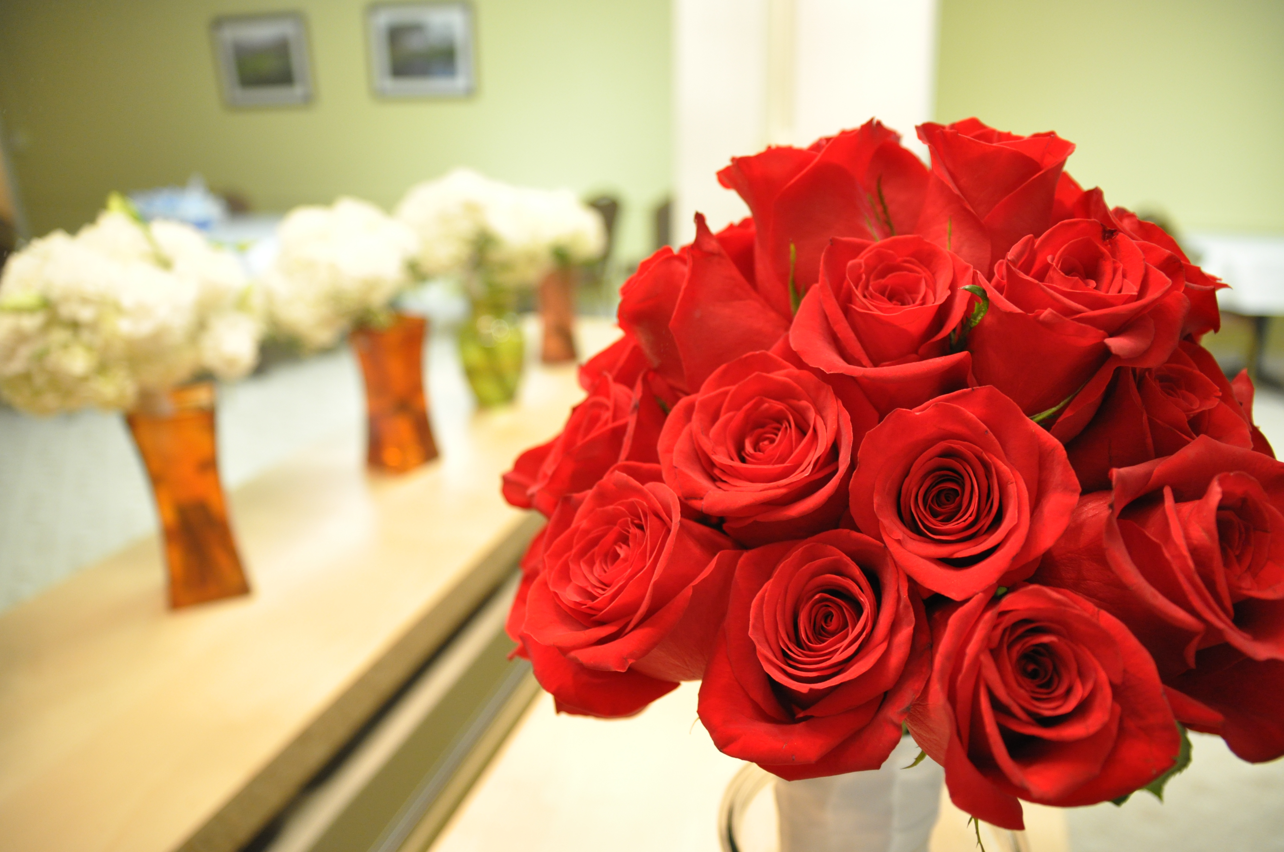 Beautiful red roses on March 8 holiday wallpapers and ...