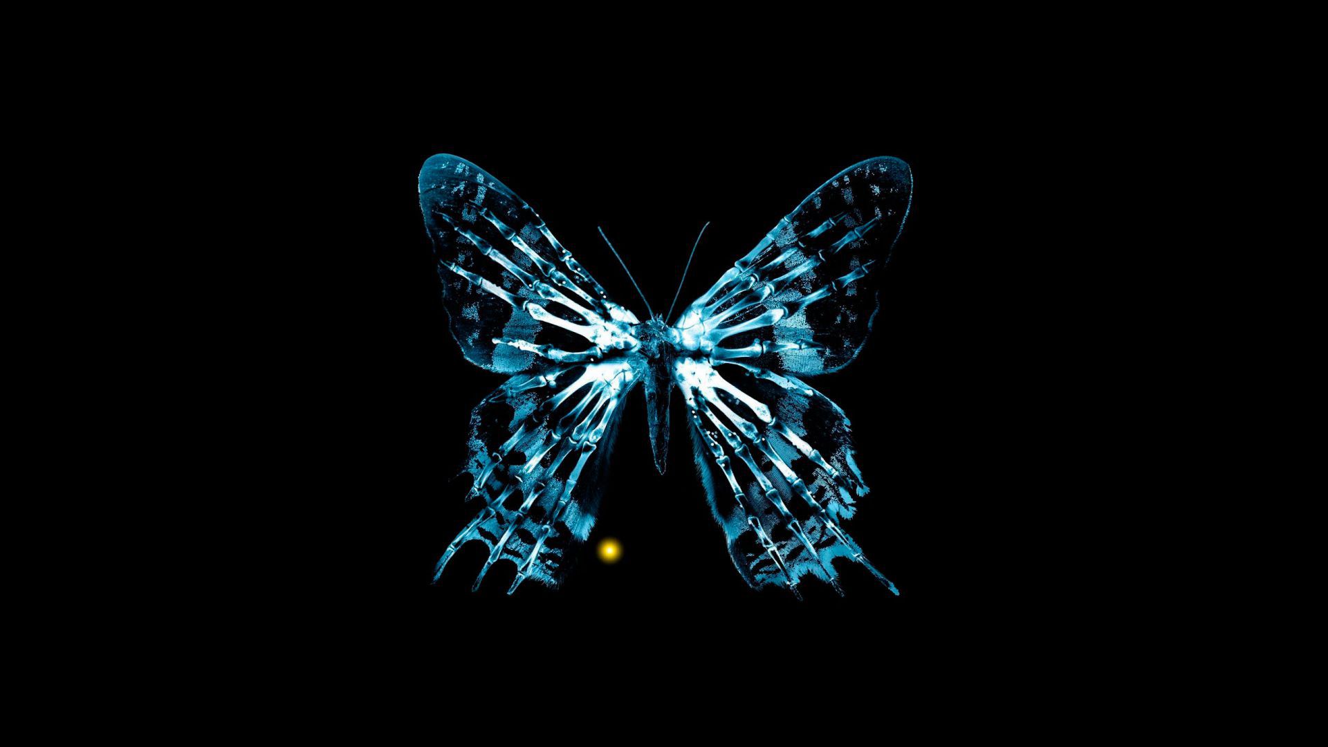The Butterfly Effect wallpapers and images - wallpapers, pictures, photos