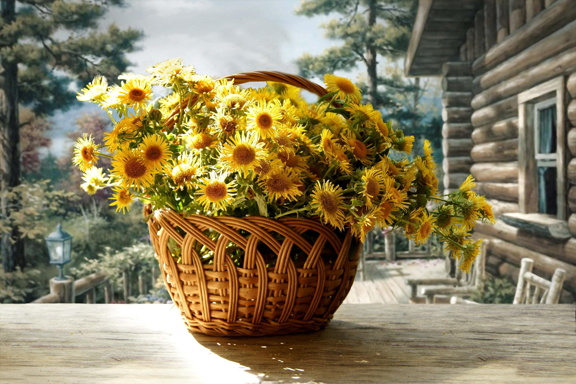http://www.zastavki.com/pictures/originals/2014/Nature___Flowers_Beautiful_flowers_in_a_basket_Chrysanthemum_067234_.jpg