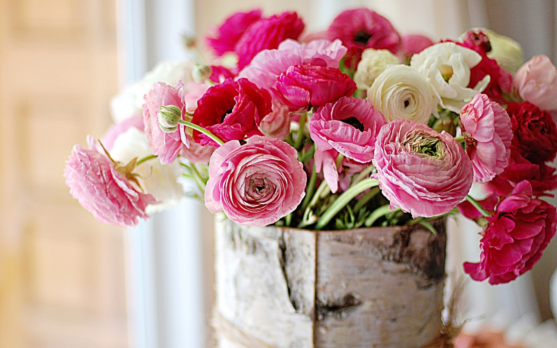Fresh flowers peonies wallpapers and images - wallpapers, pictures, photos