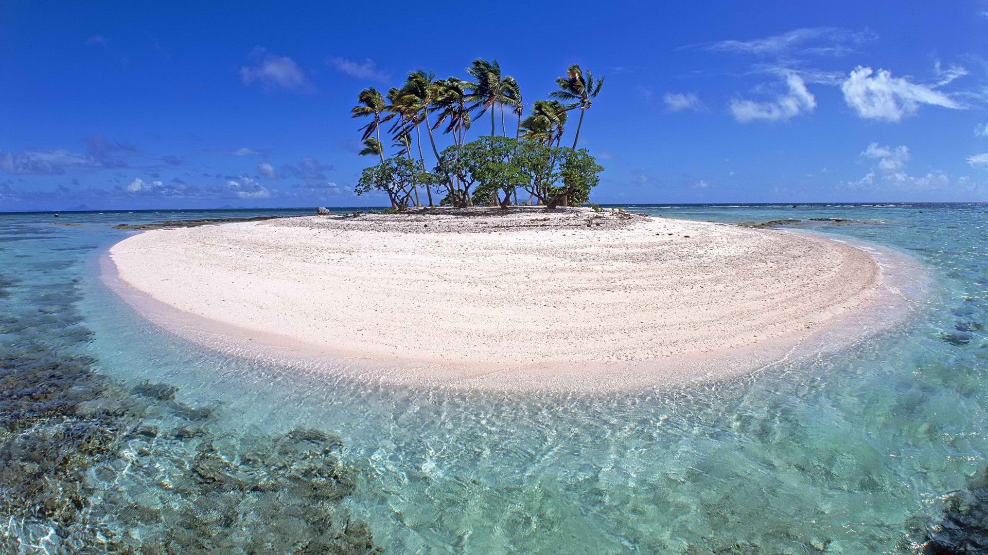 A small island with trees wallpapers and images  wallpapers, pictures, photos