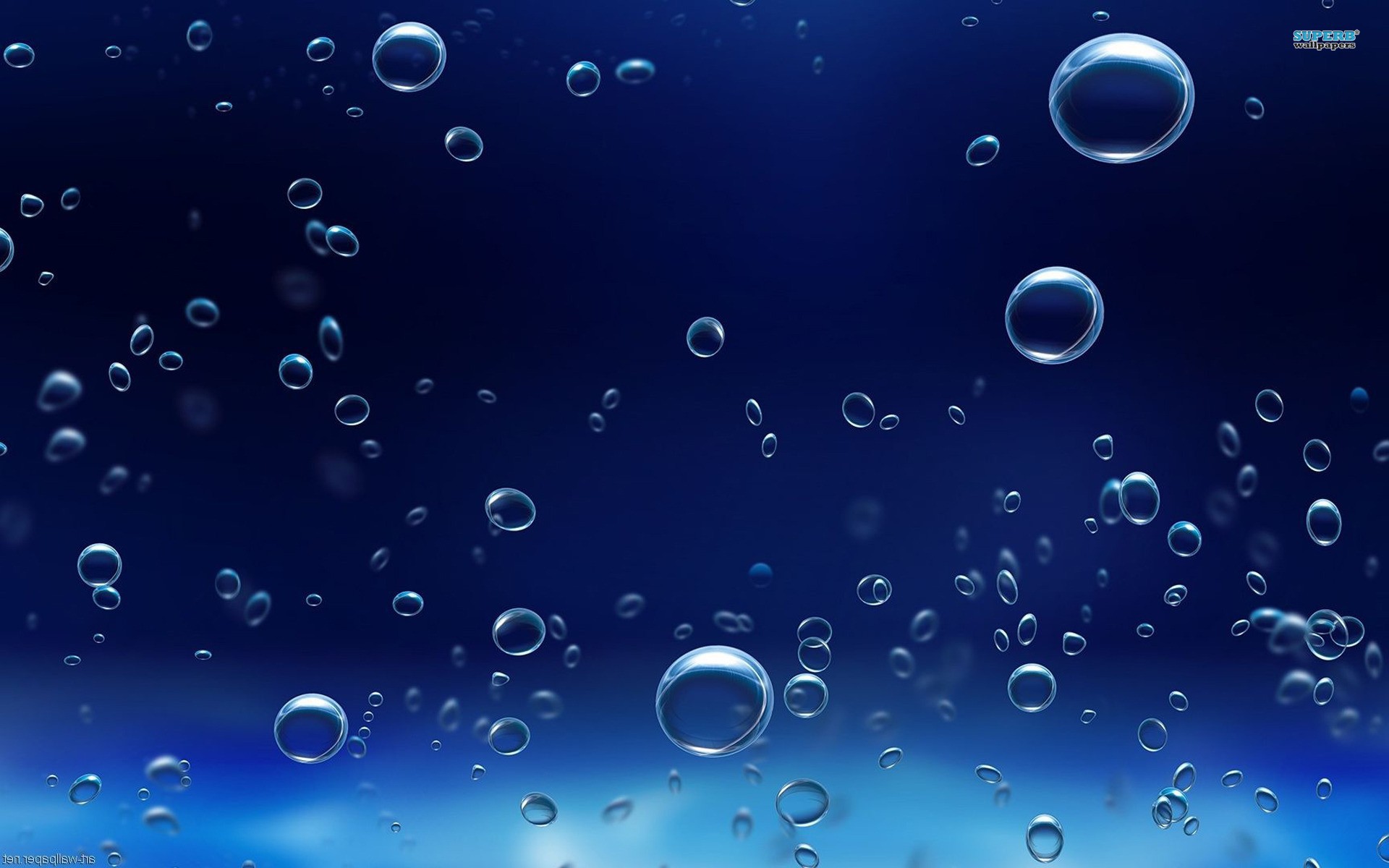 Bubbles on a blue background wallpapers and images - wallpapers