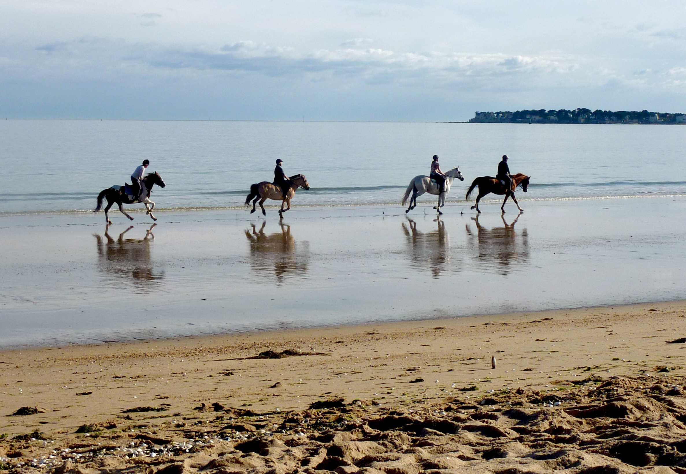 Horse riding in the resort of La Baule, France wallpapers and images