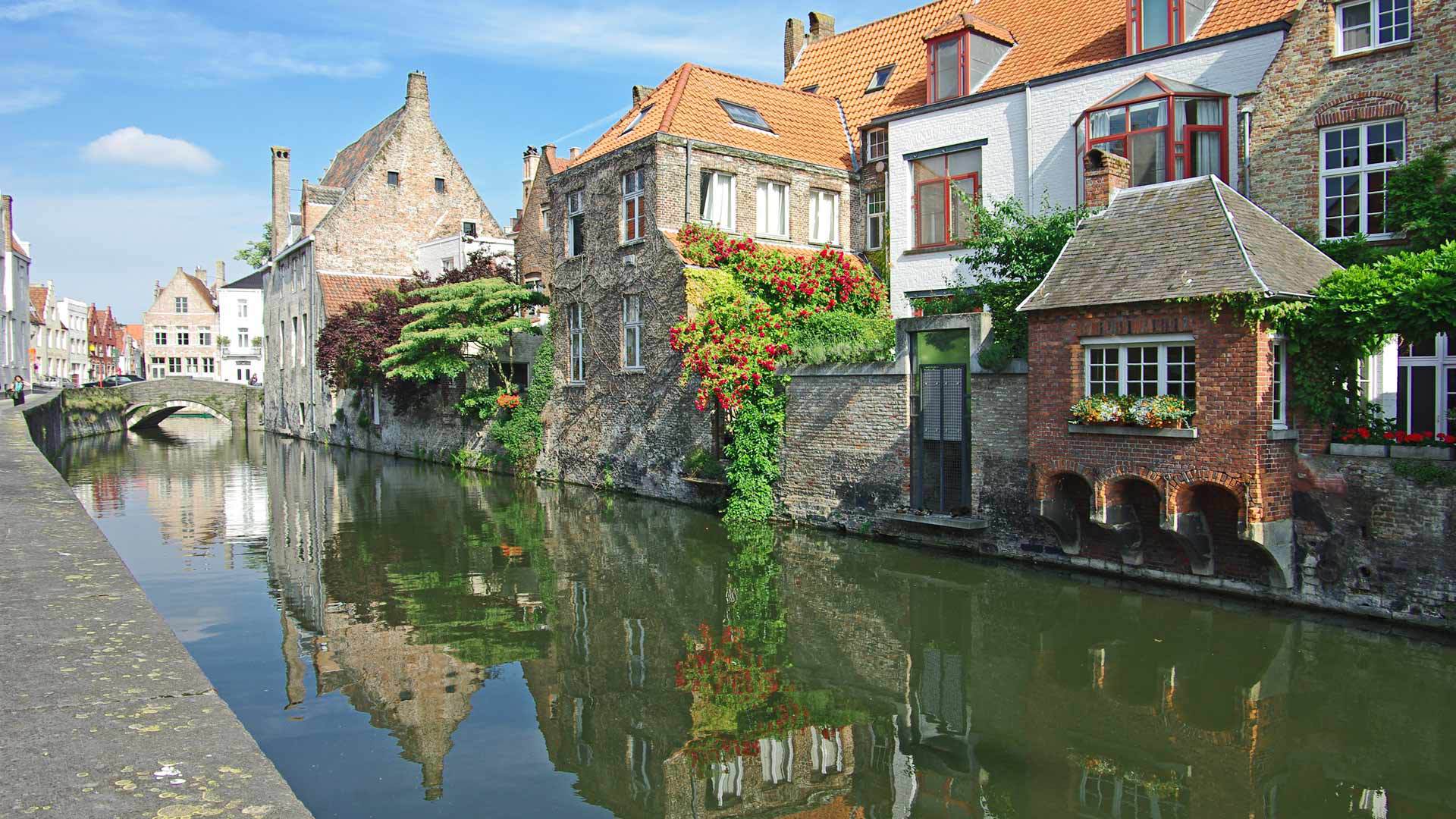 Flowering plants in Venice, Italy wallpapers and images - wallpapers