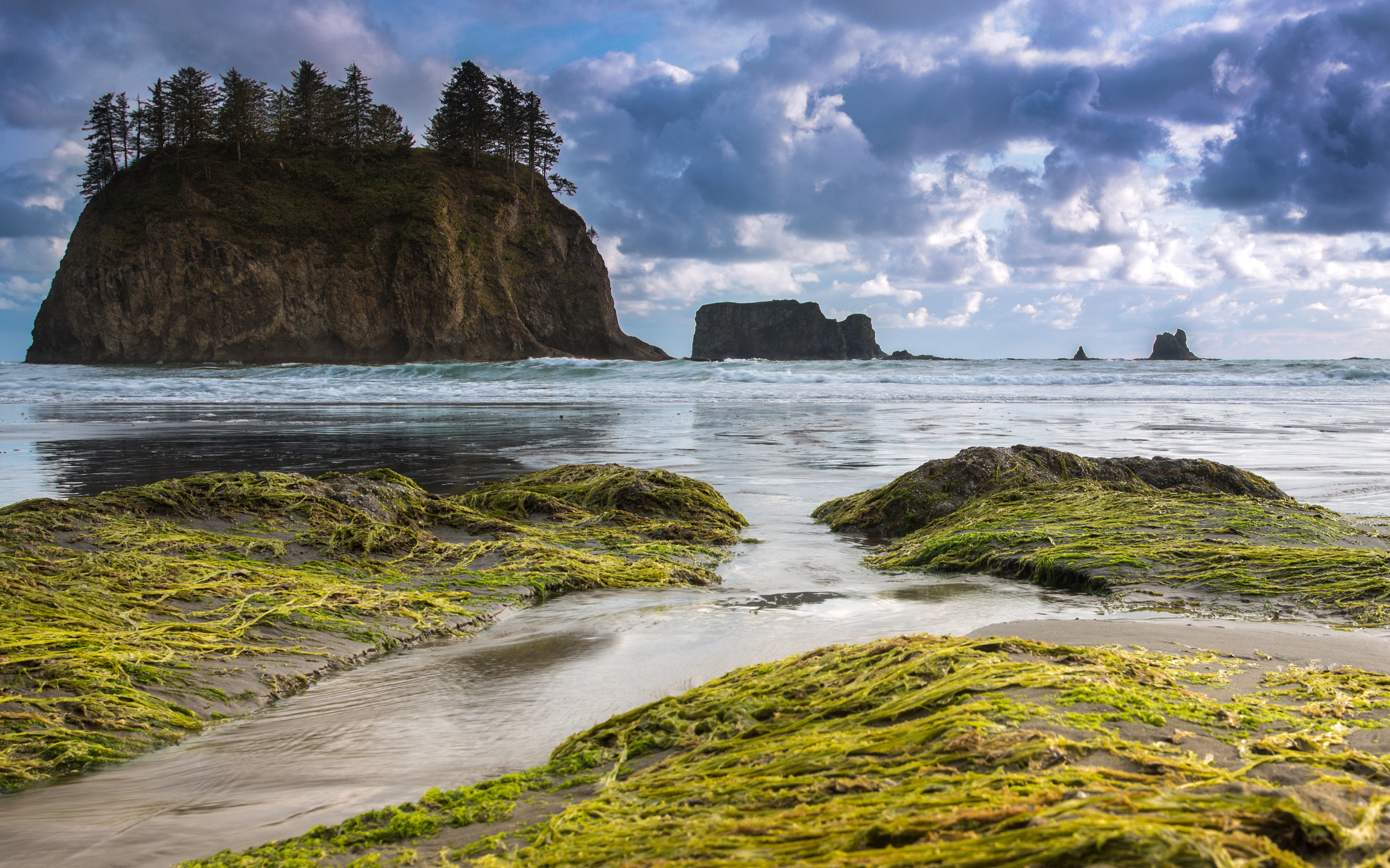 Olympic Peninsula, Olympic National Park, Washington, USA wallpapers and images  wallpapers 