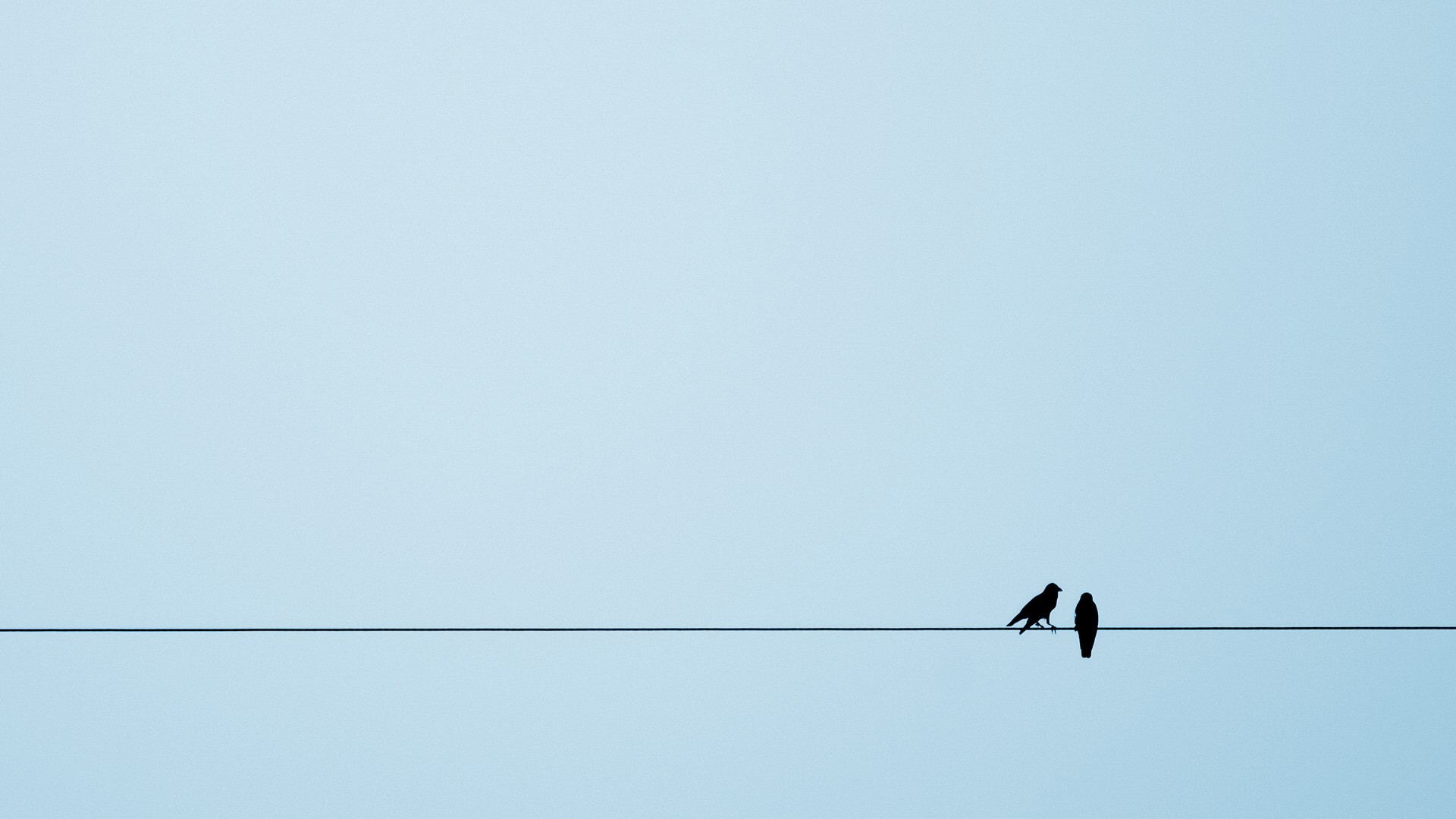 Backgrounds_Two_birds_on_a_rope__blue_background_107270_.jpg