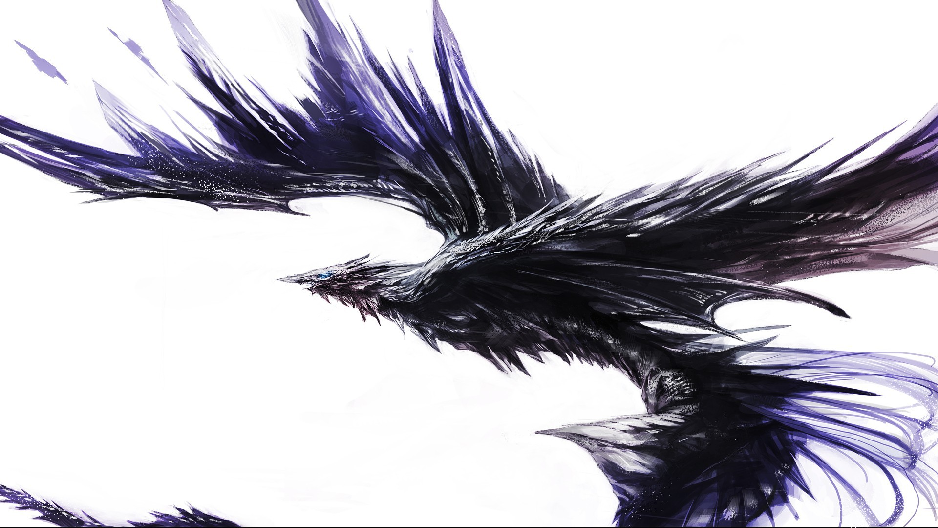 Black winged dragon wallpapers and images - wallpapers, pictures, photos