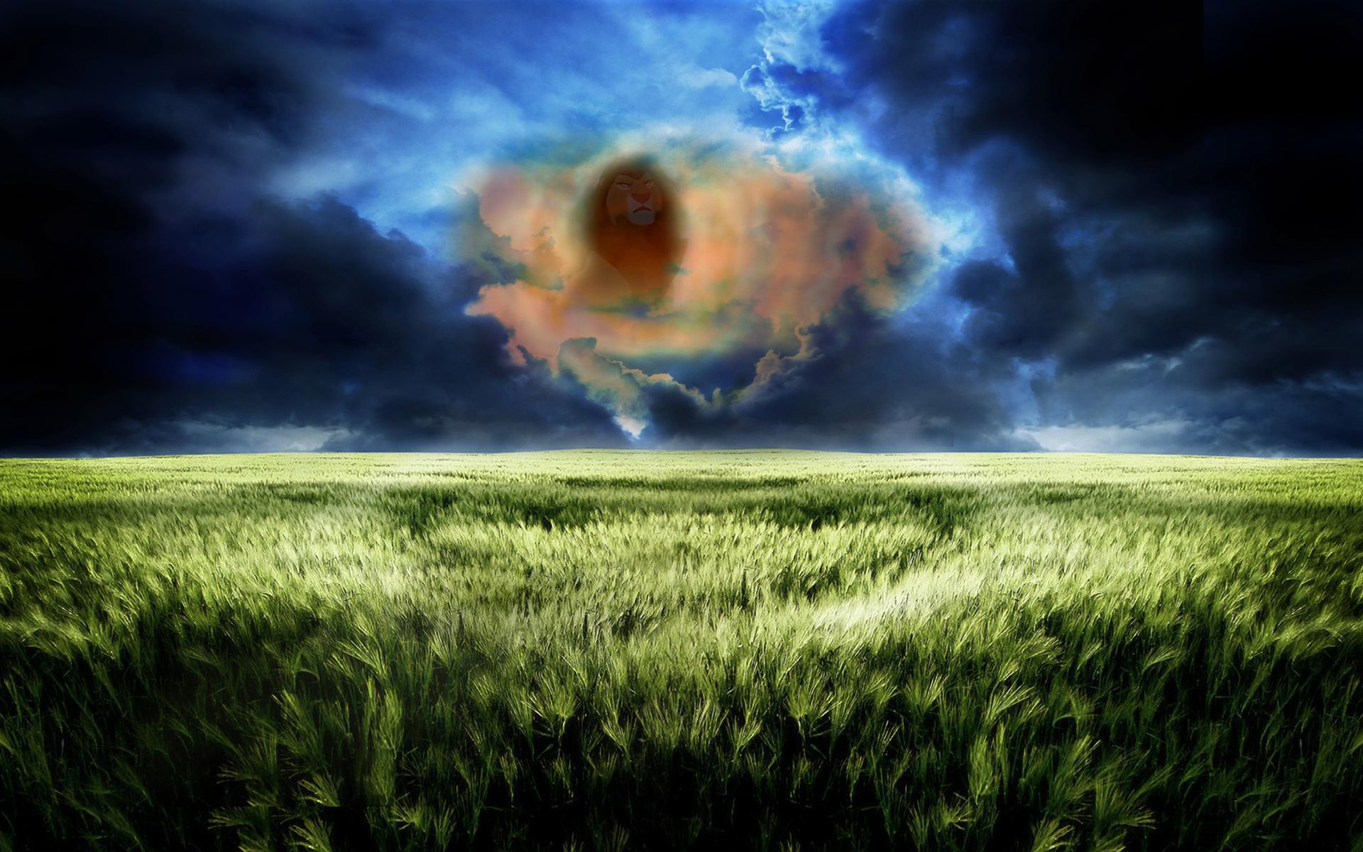 Face of a lion in the cloud wallpapers and images wallpapers