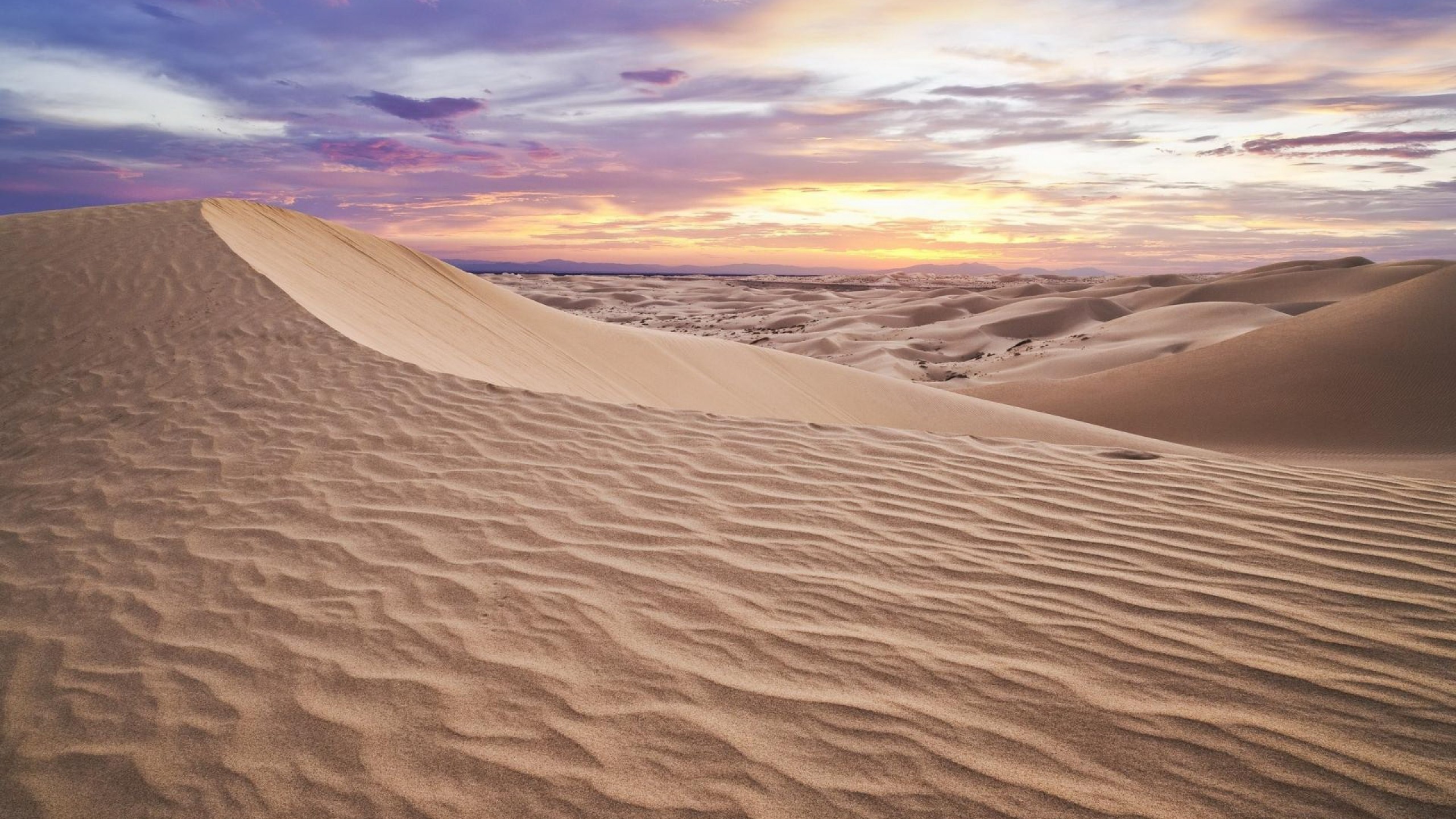 Beige sand in the desert wallpapers and images - wallpapers, pictures
