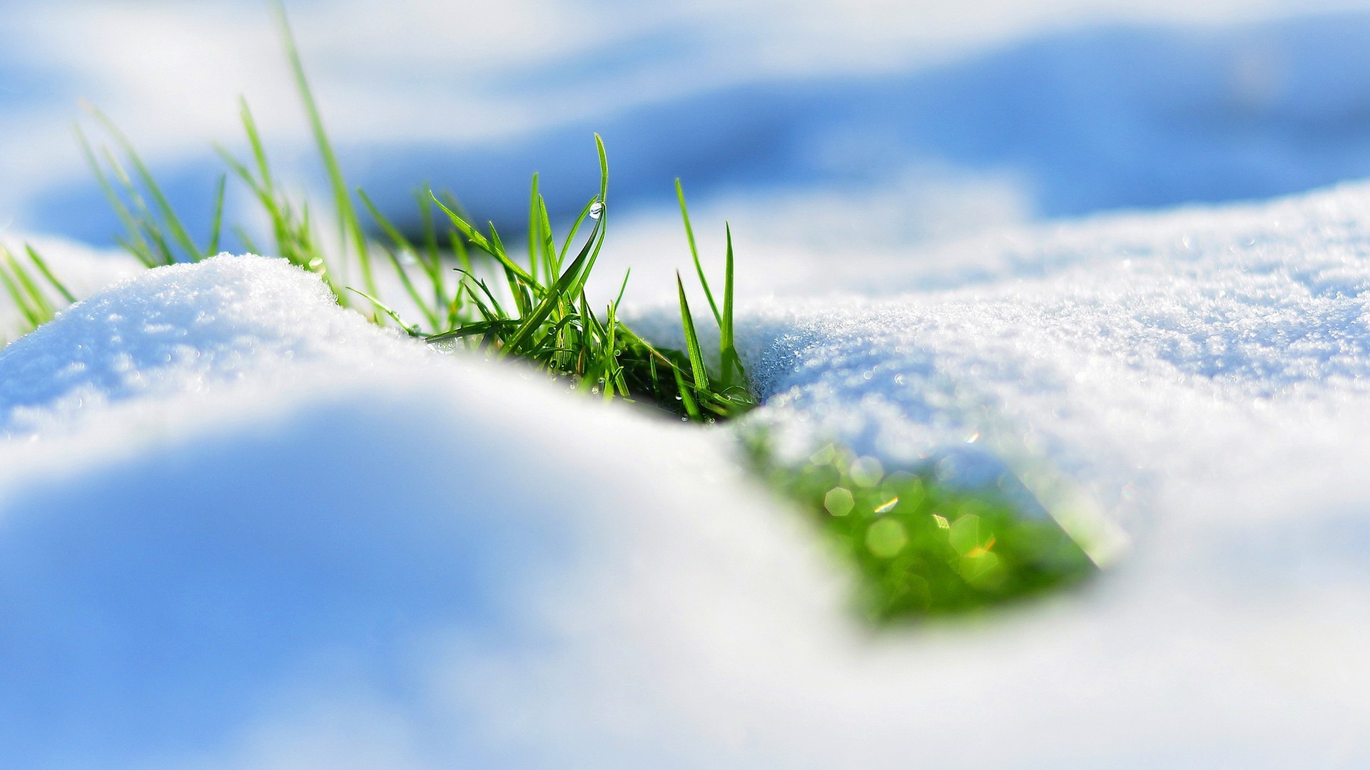 http://www.zastavki.com/pictures/originals/2015/Nature___Seasons___Spring_Grass_makes_its_way_from_under_the_white_snow_099393_.jpg