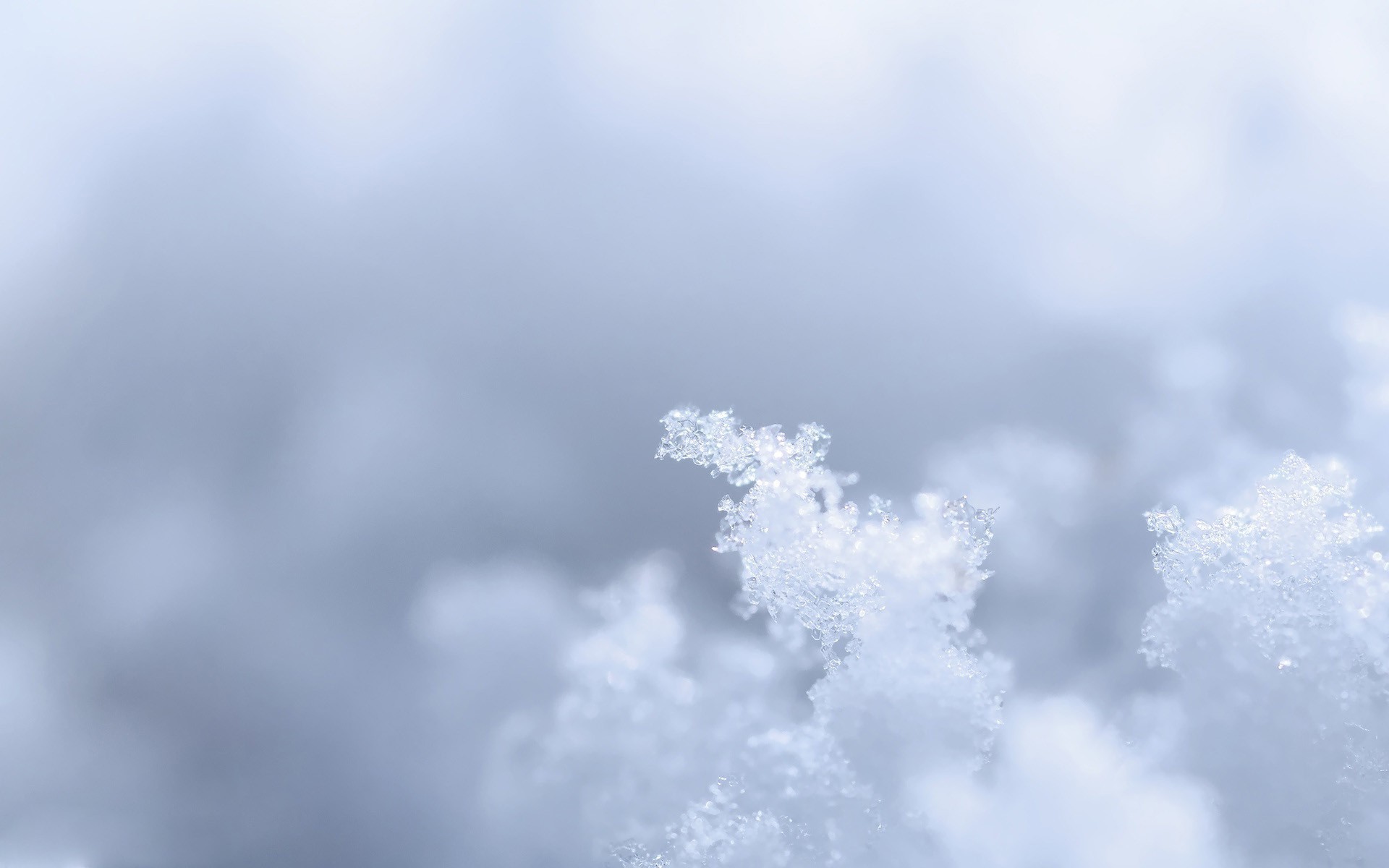 Crystals of snow on gray background wallpapers and images wallpapers