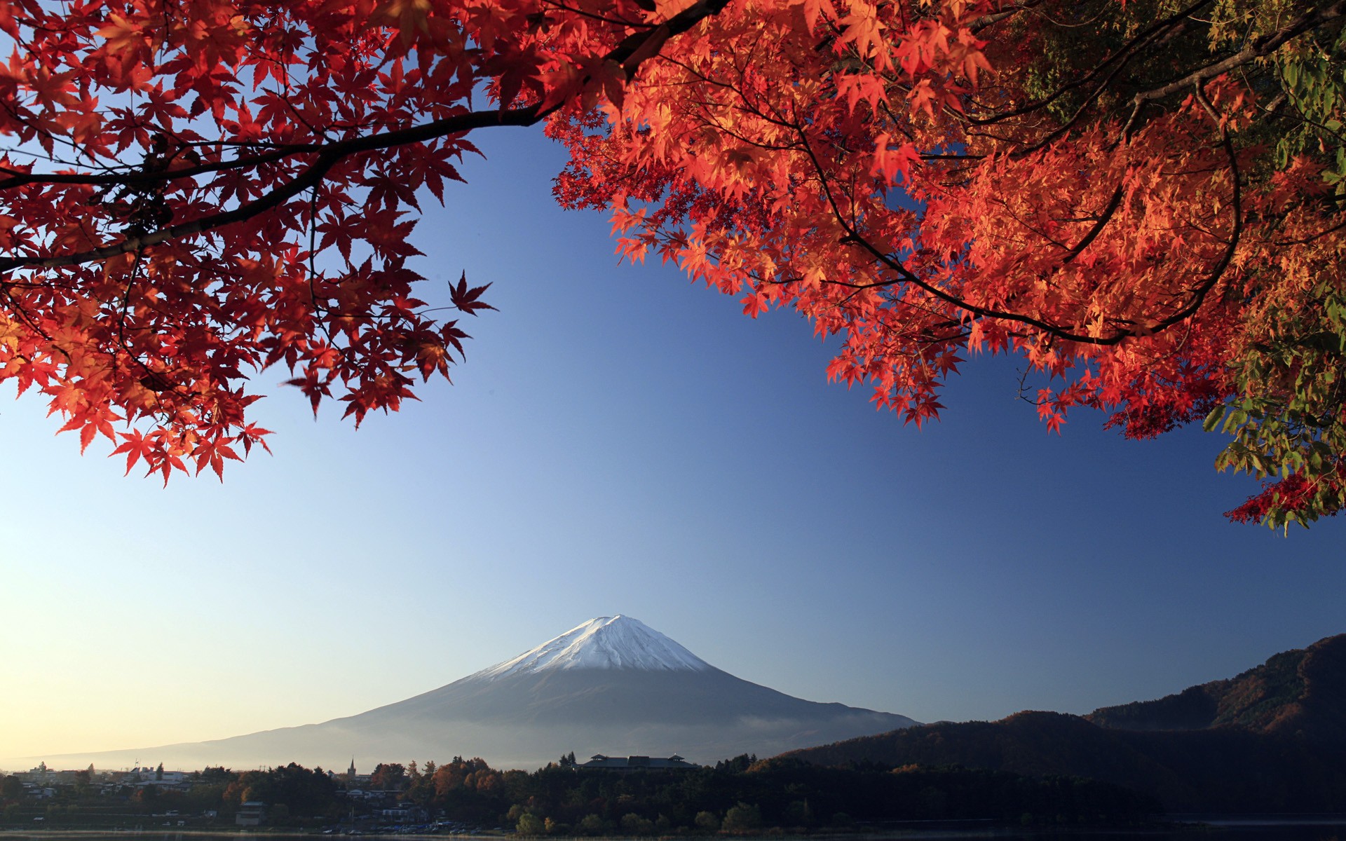 Red Maple Leaves On The Background Of Mount Fuji Japan Wallpapers