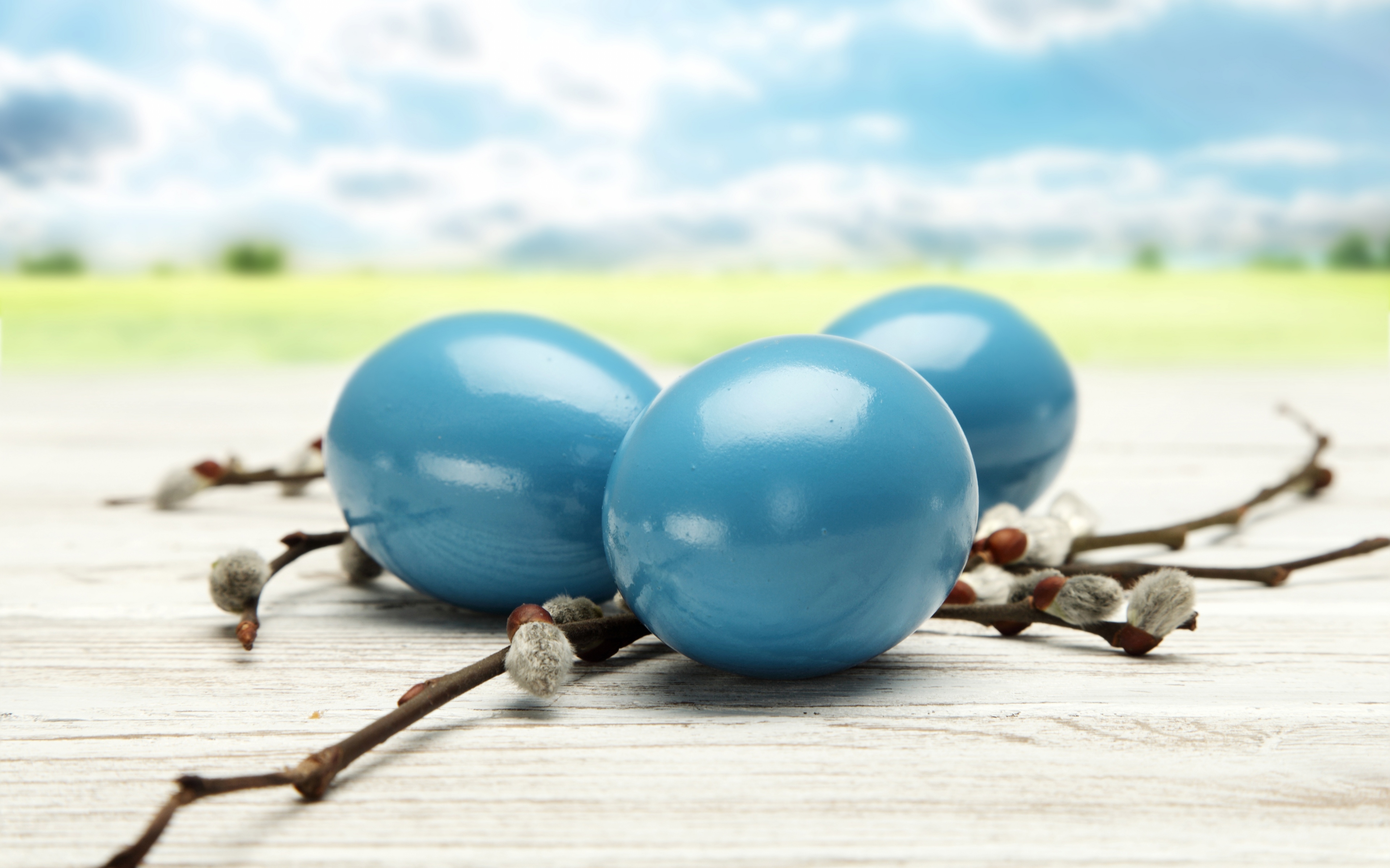 Blue Easter eggs and willows wallpapers and images wallpapers