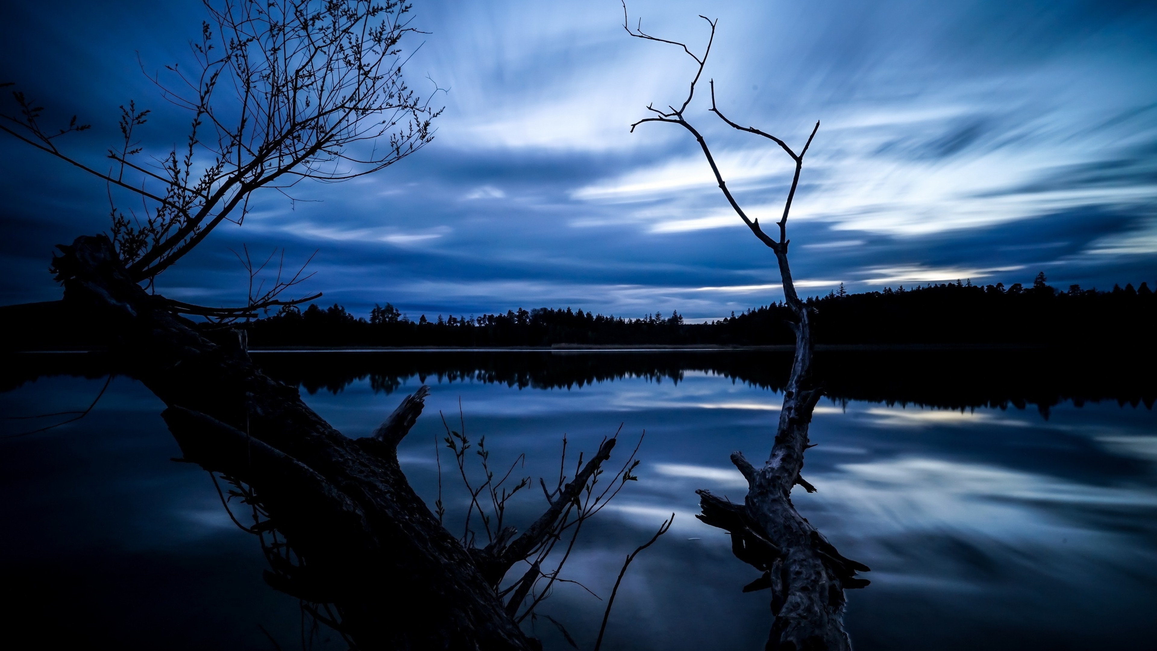 Dry tree by the lake under a beautiful night sky wallpapers and images