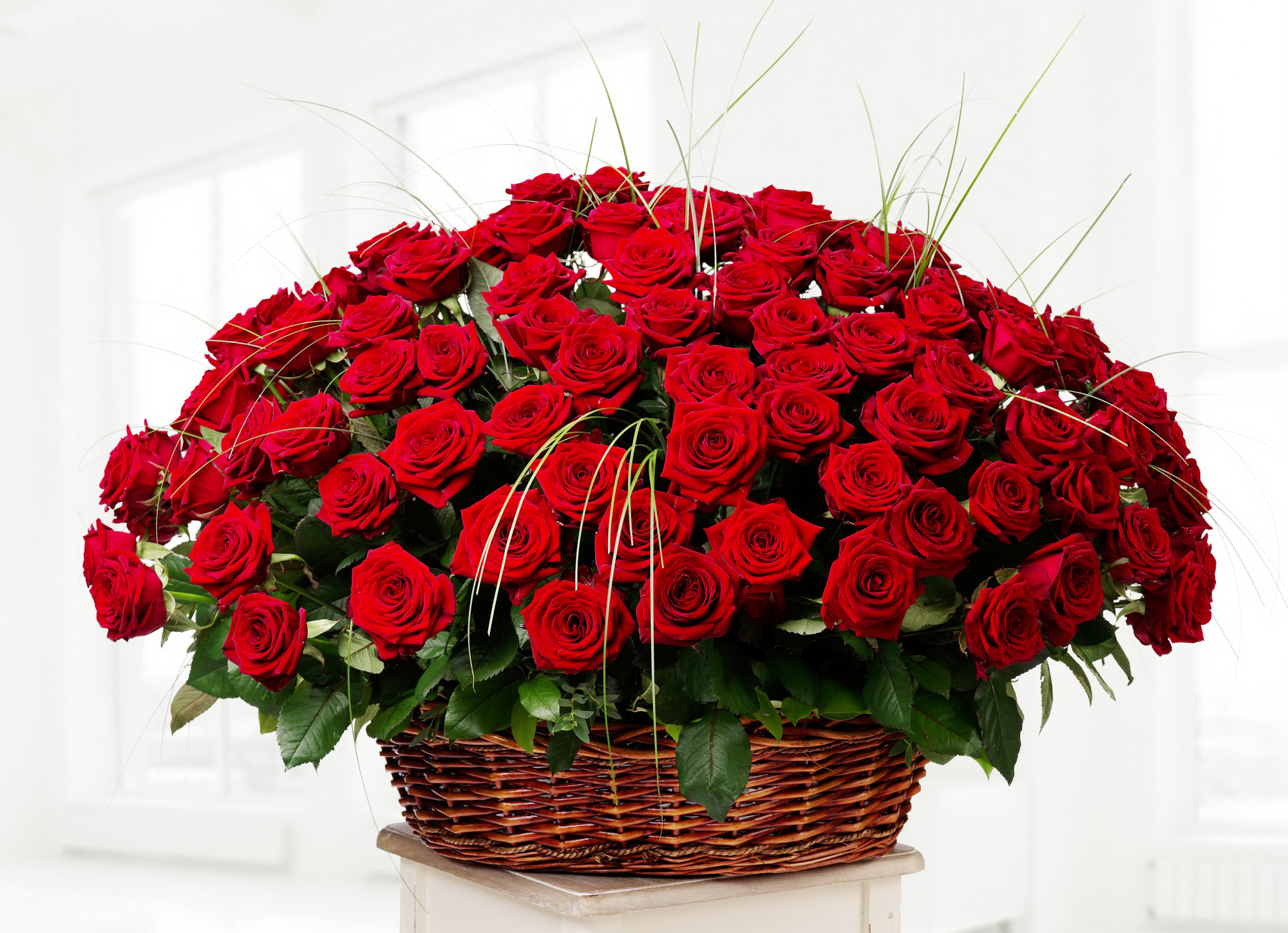 Big bouquet of beautiful red roses in a basket on a white ...