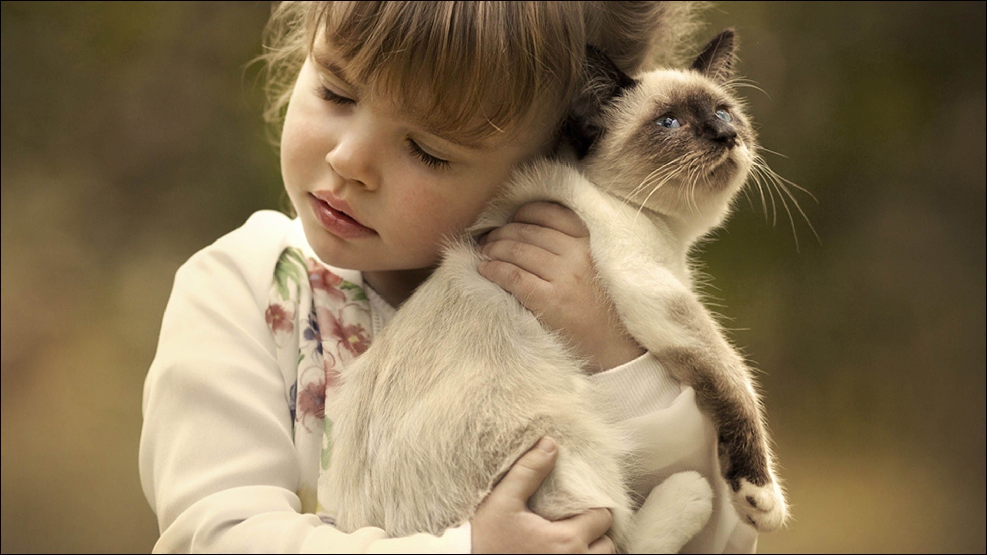 Little girl hugging a kitten wallpapers and images wallpapers