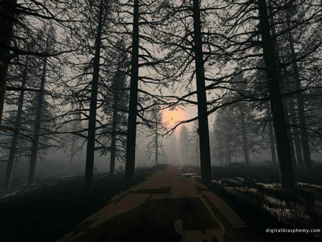 Обои на рабочий стол В Лесу