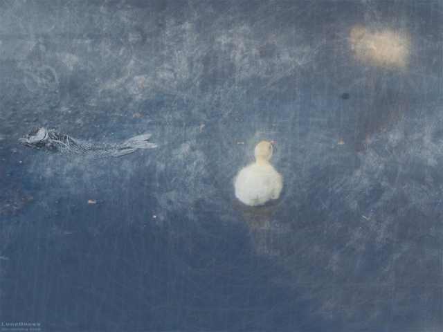 Одиночество 3 D обои