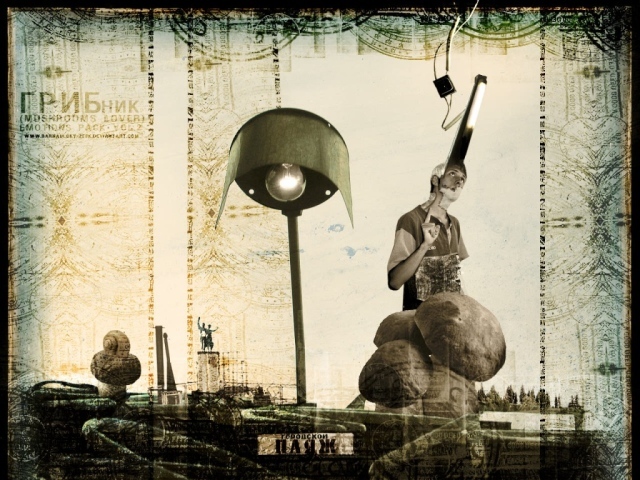 Любитель грибов