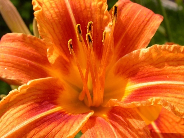 Женский день