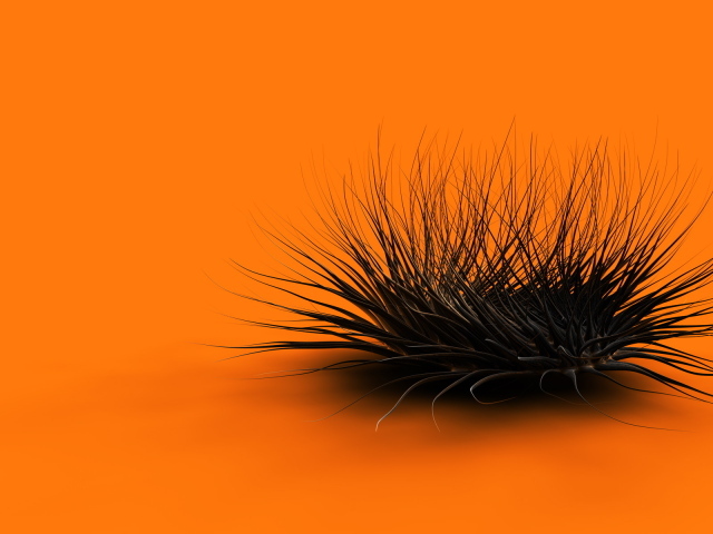 Оранжевый хаос