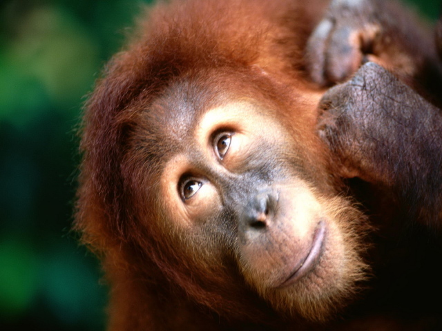 Взгляд вверх