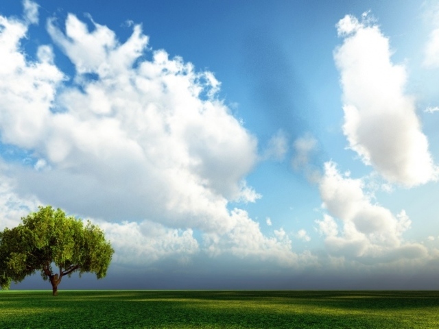 Дерево, поле, облака