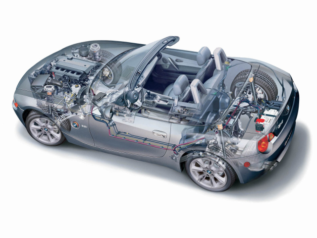 Z4 Organic рисунок