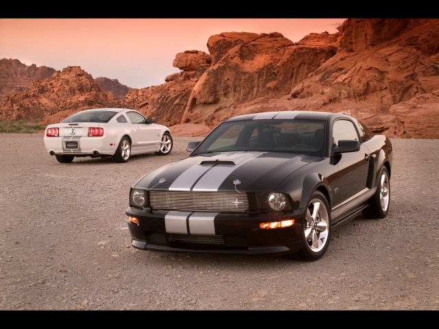 Ford Shelby GT 2007
