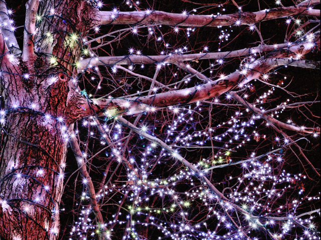 Гирлянды / Рождество