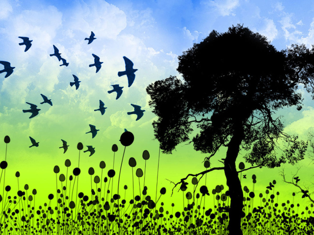 Птицы гордости