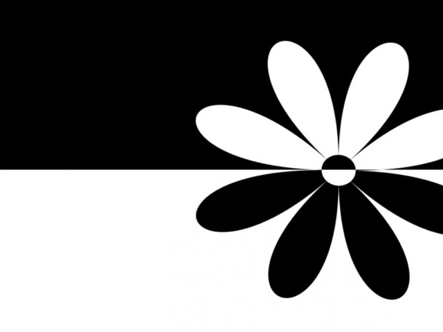 черный белый