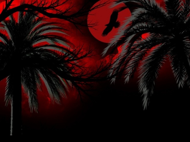 Темная ночь